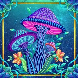 Meet your Posher, Barbara